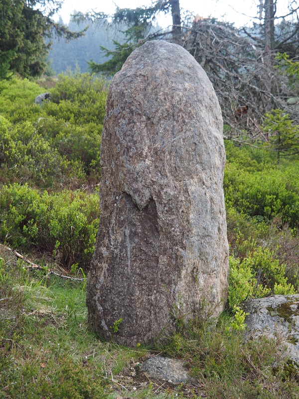 Click for full size image of Roklansky Creek Menhir (PID:255361) Roklansky Creek Menhir