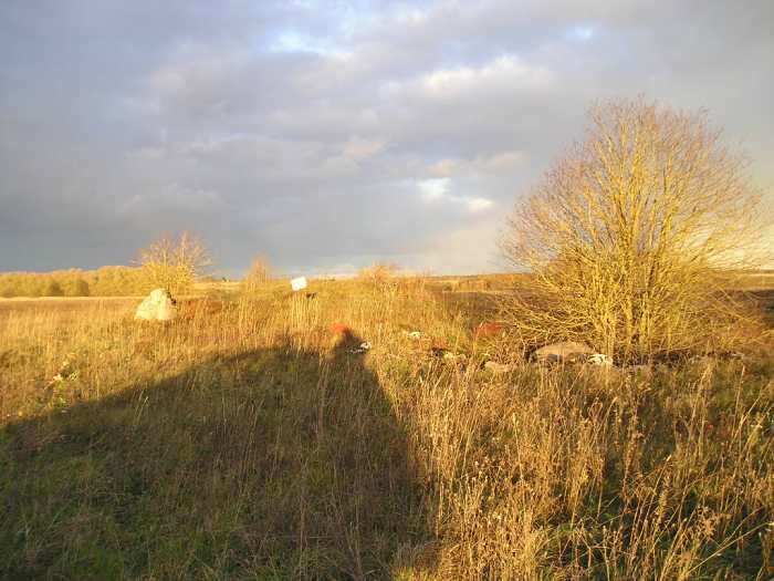 An unexcavated burial mound near Rebala. A few miles to the East of Tallinn, Estonia

There are many hundreds of these in this region