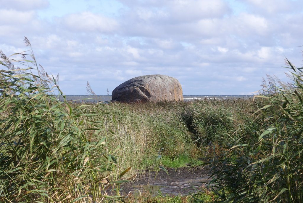 Click for full size image of Ehalkivi (PID:181829) Ehalkivi