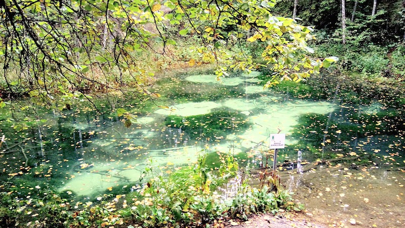 Blue Springs of Saula