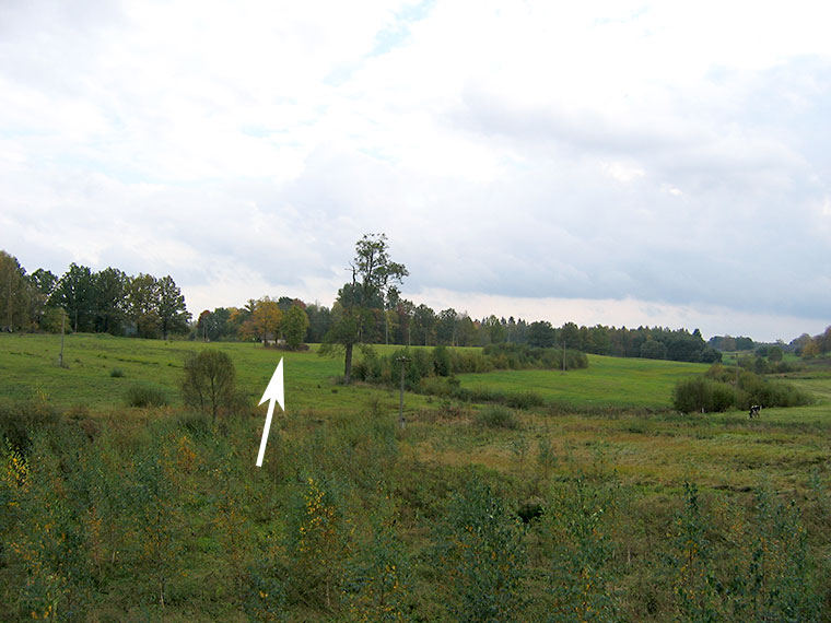 Click for full size image of Davini Great stone (Daviņu Lielais akmens) (PID:59250) Davini Great stone (Daviņu Lielais akmens)