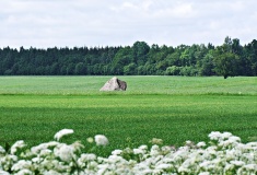 Meļķitāru Muldas akmens