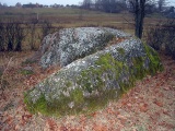 Davini Great stone (Daviņu Lielais akmens) - PID:59241