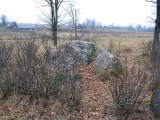 Davini Great stone (Daviņu Lielais akmens) - PID:59244