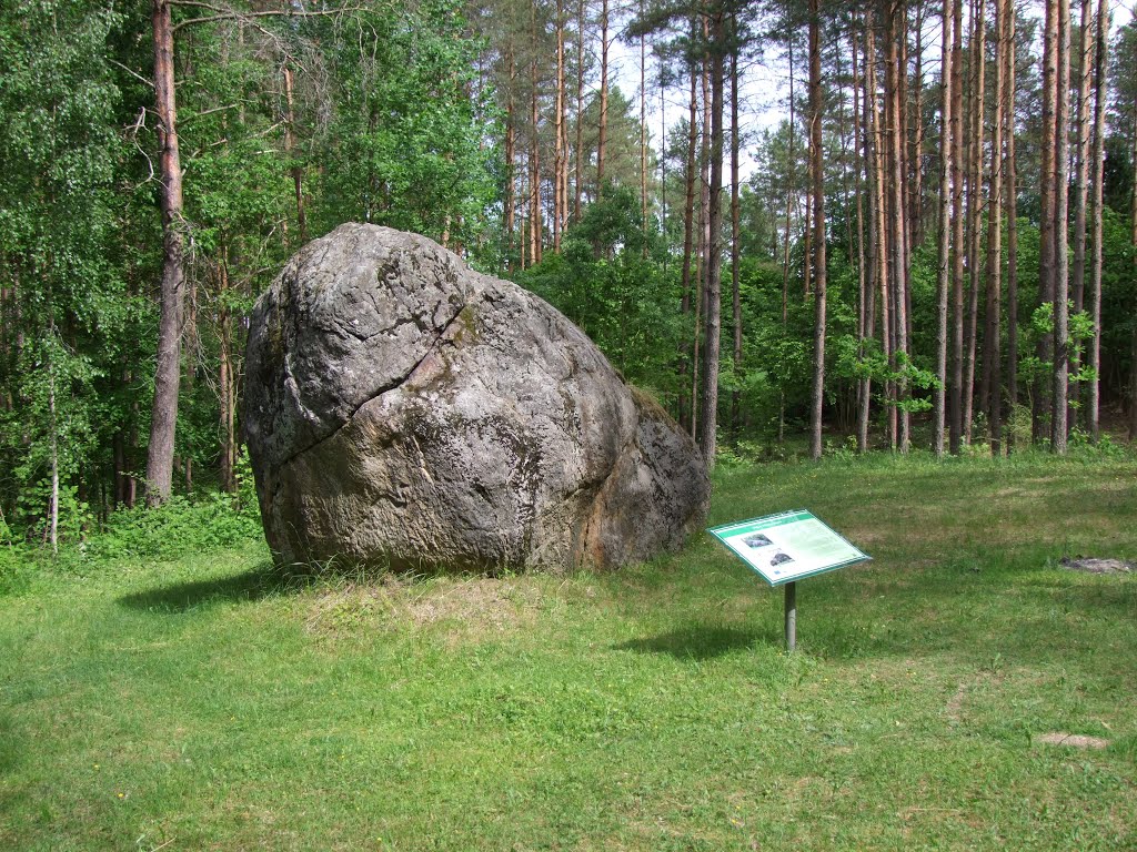 Didysis Dzūkijos akmuo