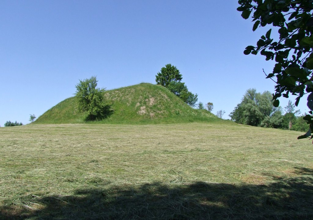  Šakališkių piliakalnis has the advantage of standing on its own in an open area.  June 2015

