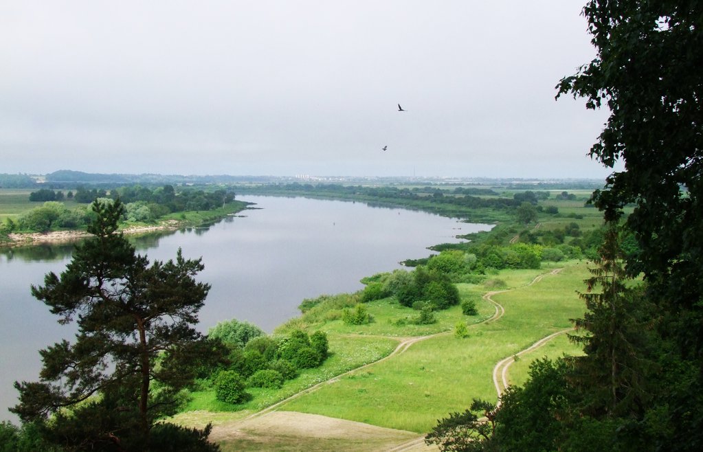 View on the river Niemen (Nemunas, Неман) from Rambynas Hill.  The border between Europe and Russia lies in the middle of the river.  June 2015.

