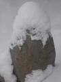 Stone in Alytus, Lithuania - PID:103168