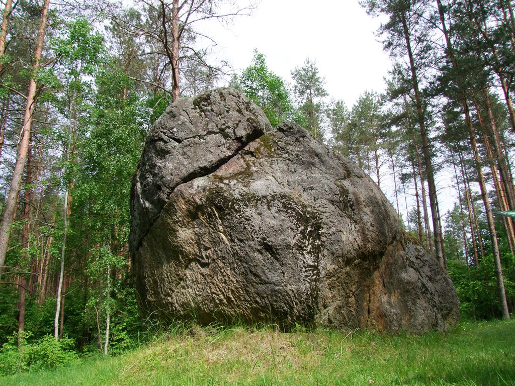 Didysis Dzūkijos akmuo