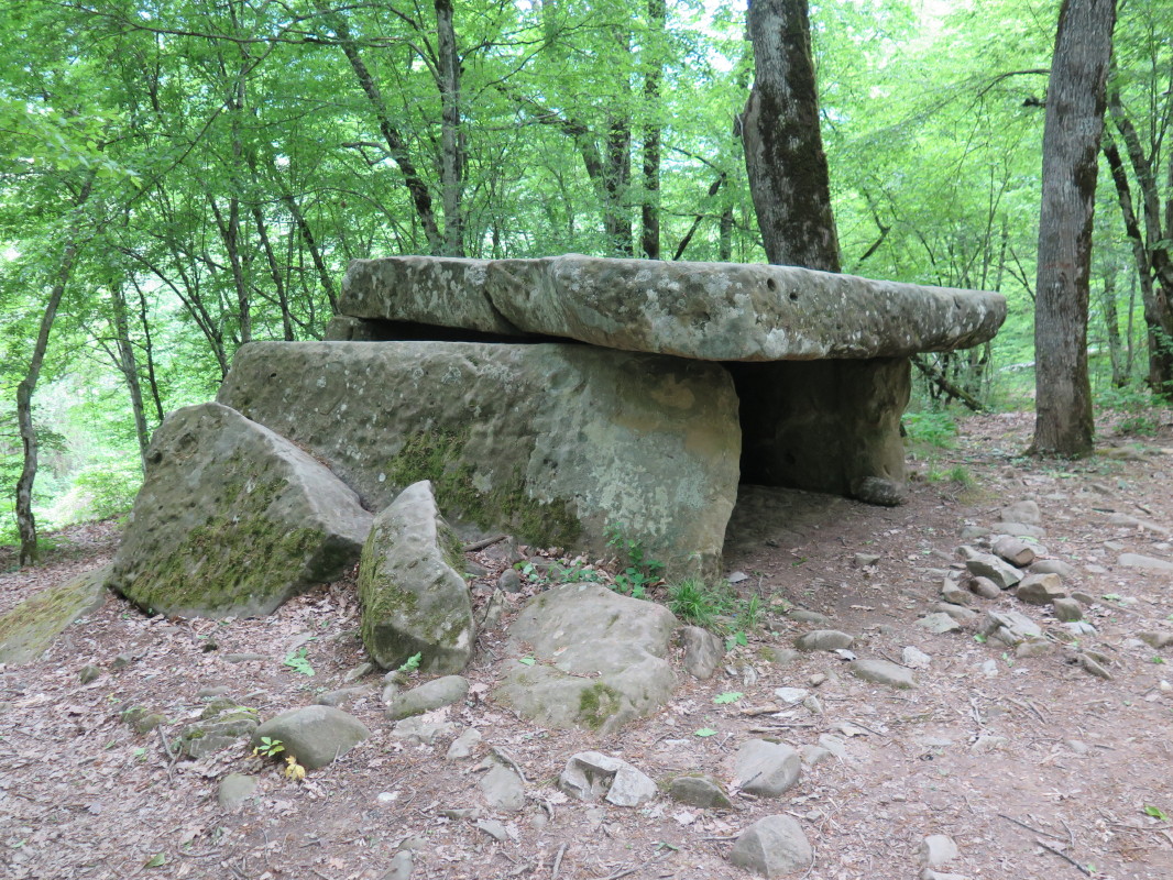 Click for the gallery page to add comments and vote (PID:151993) Pshada Dolmen Village 2