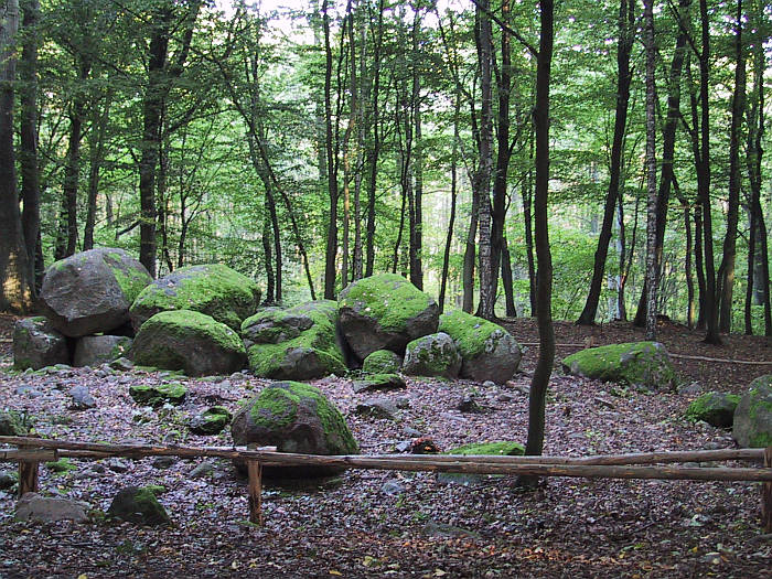 Click for the gallery page to add comments and vote (PID:21719) Borkowo Dolmen (Borkowo)