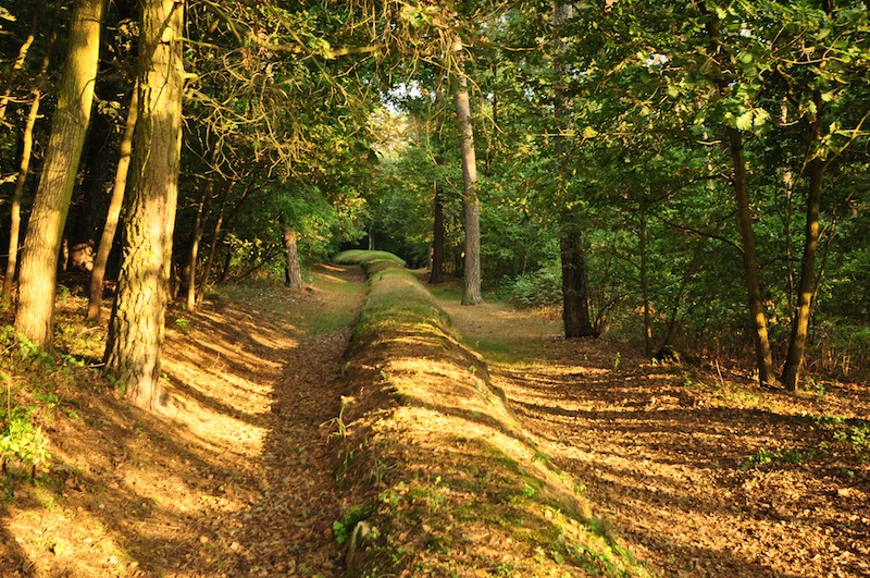 Wietrzychowice Long Barrows