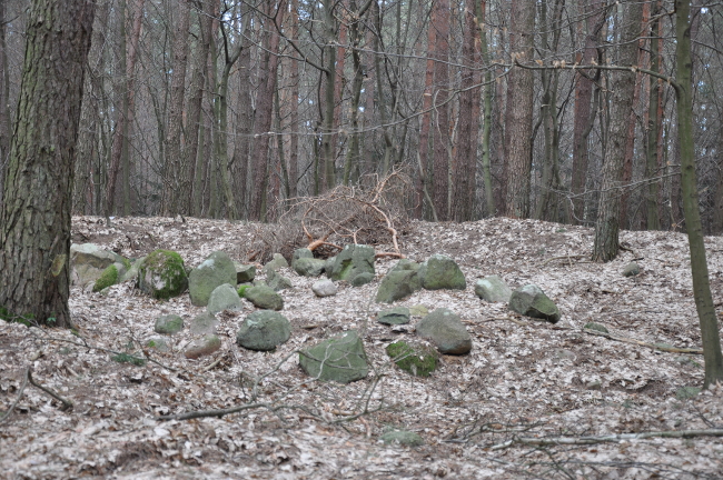 Site in Wielkopolskie Poland