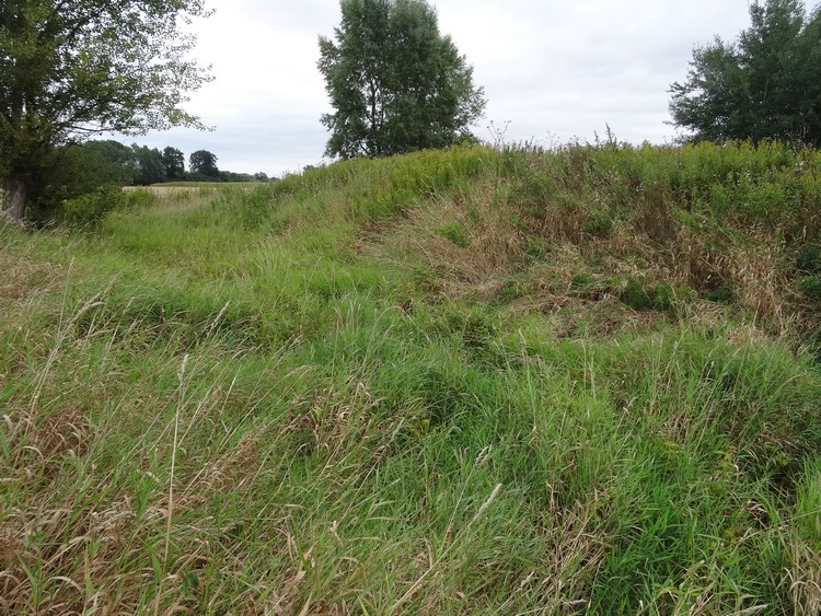 Rampart and ditch in the northern part of the fort (photo taken on August 2018).