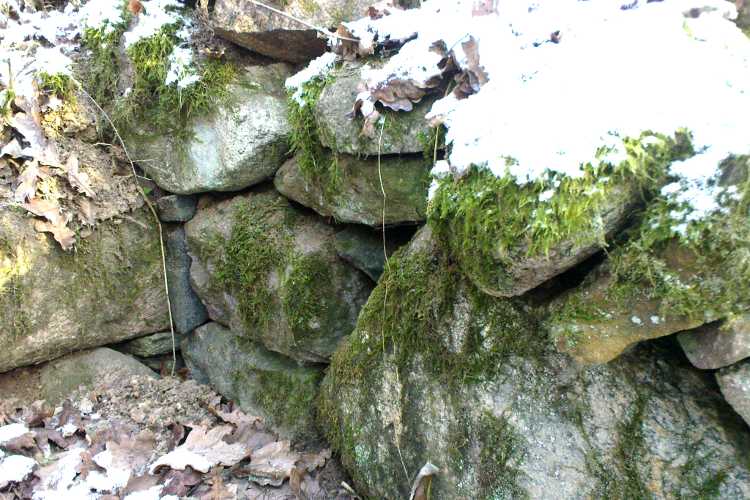 Rościn Chambered Tombs