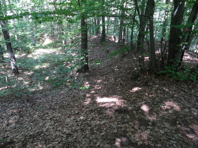 Rampart in the eastern part of the hillfort (photo taken on August 2019).