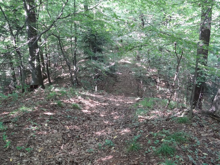 View from the rampart into the ditch (photo taken on August 2014).
