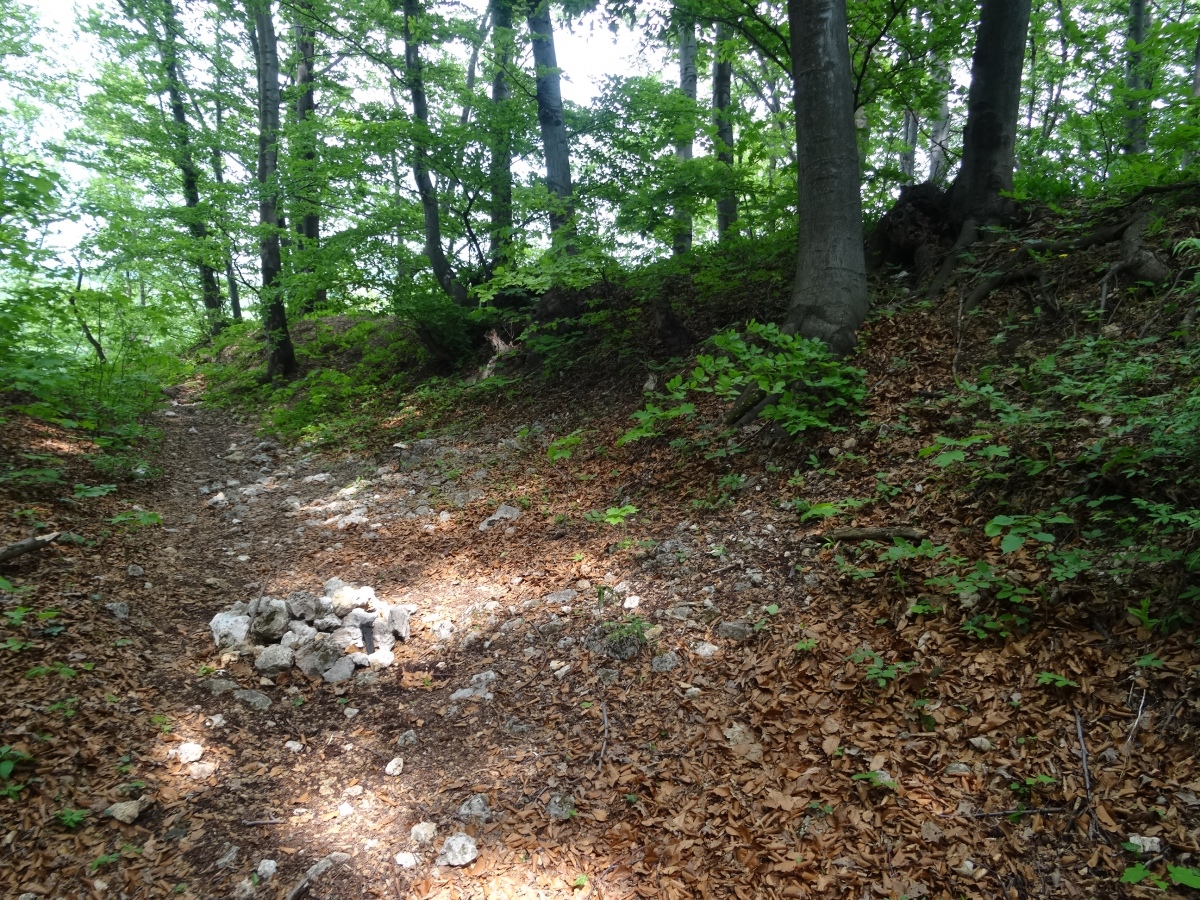 Grodzisko Będkowice