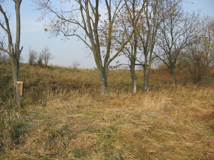Grodzisko Wiślica