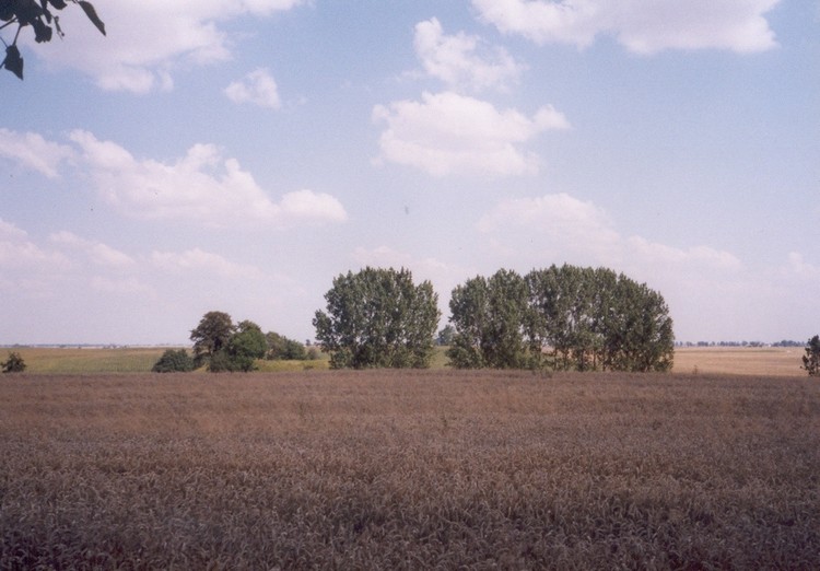 Grodzisko Żygląd