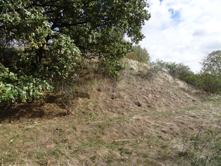 Rampart in the SW part of the hillfort (photo taken on October 2018).