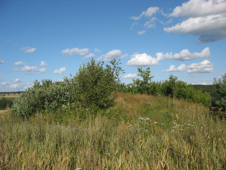 Gołczewo round barrow - view from the West. 
