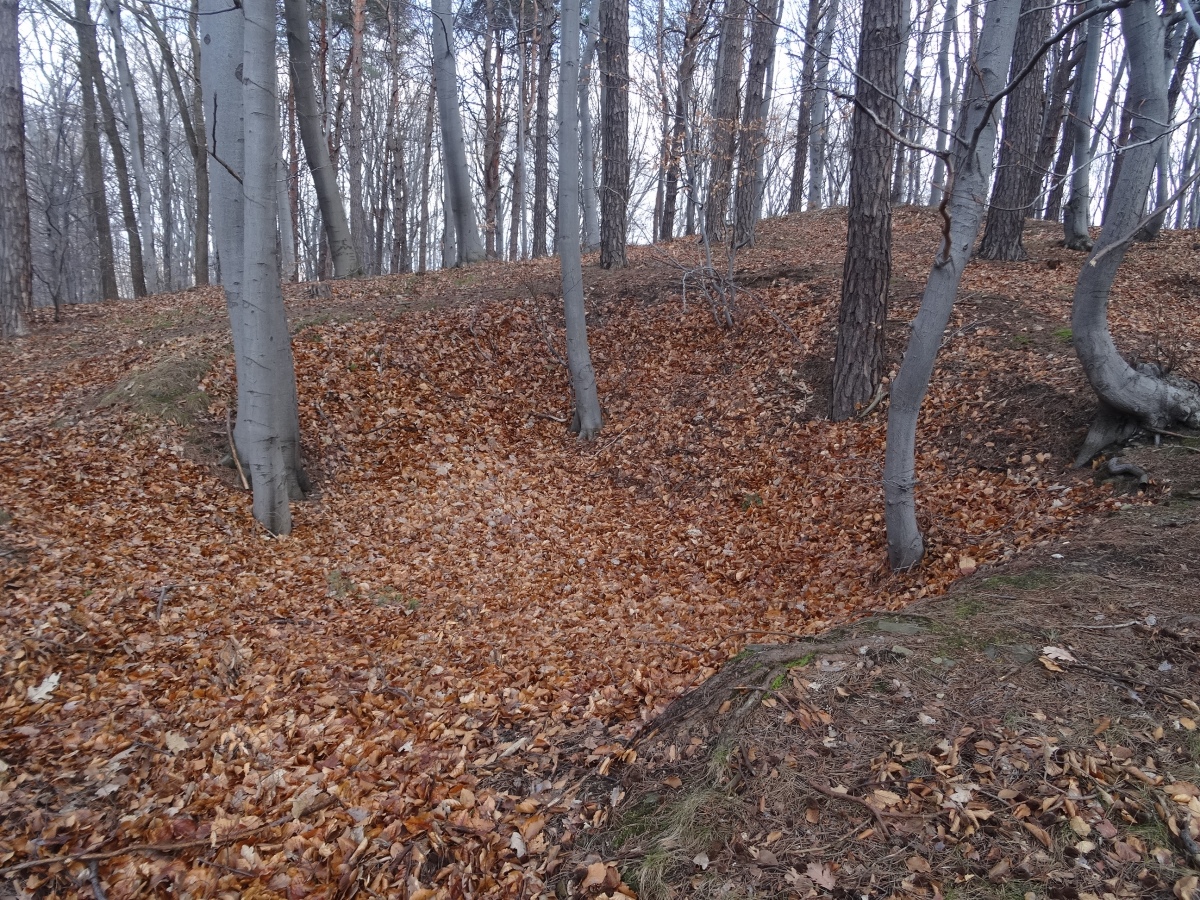 Grodzisko Gorzeń Górny