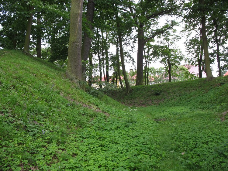 Section of the ditch (photo taken on August 2009).



