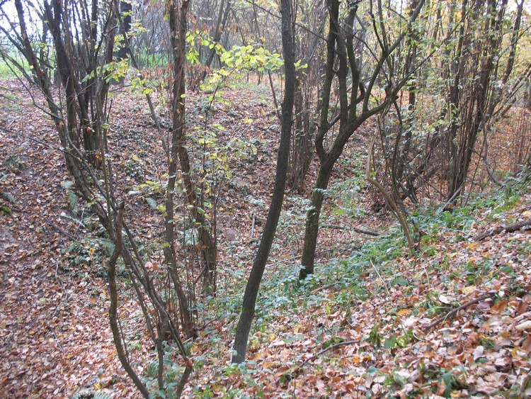 Grodzisko Horodysko