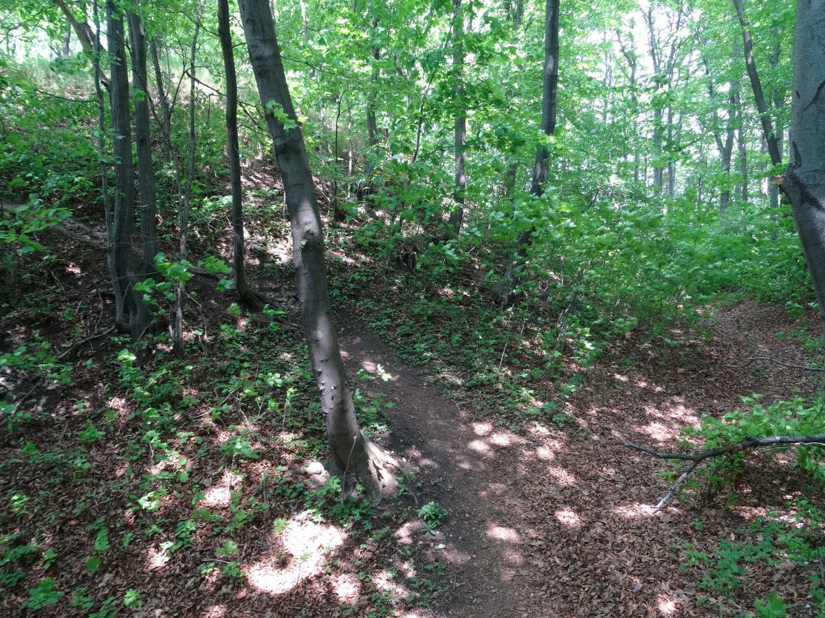 Grodzisko Będkowice