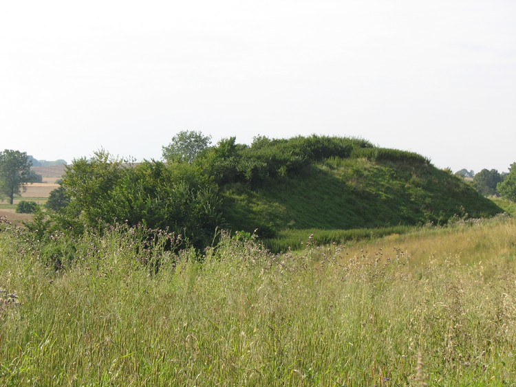 The hillfort - view from the South-East. (photo taken on August 2009)
