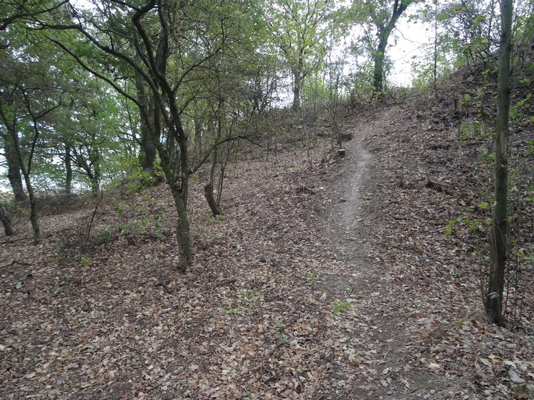 Massive rampart in northern part of the grodzisko in Mierczyce (photo taken on October 2018).