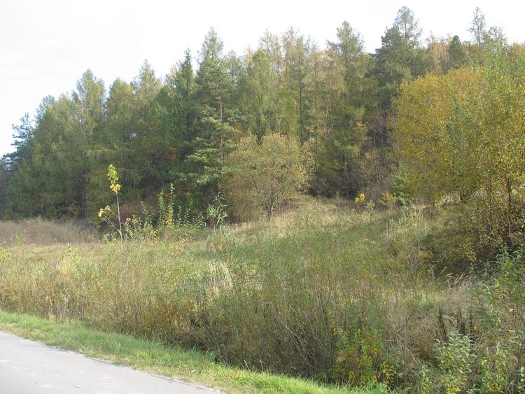 Grodzisko Horodysko