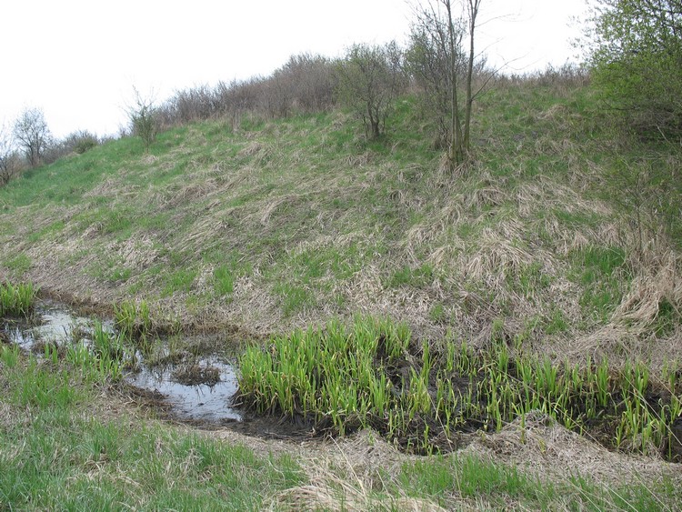 Remains of a ditch of an early medieval earth-and-wooden fort (photo taken on April 2011).
