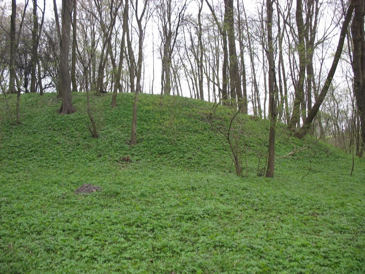Grodzisko Turostowo