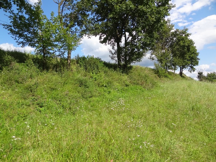 Rampart in the western part of the hillfort in Marcinkowice (photo taken on August 2014).