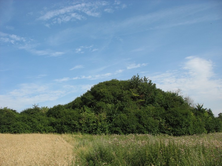 Mound of the Prussian fort near Kalwa - view from the west (photo taken on August 2008).


