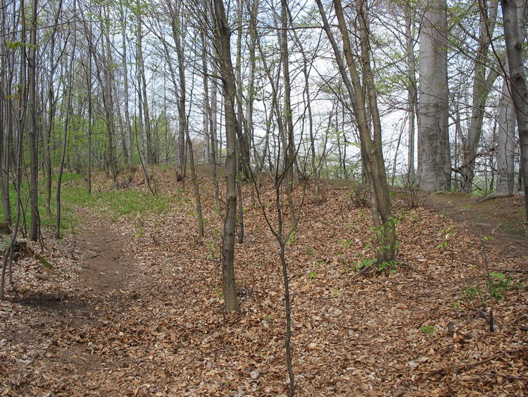 Line of the northern rampart seen from the interior of the hillfort (photo taken on April 2011).



