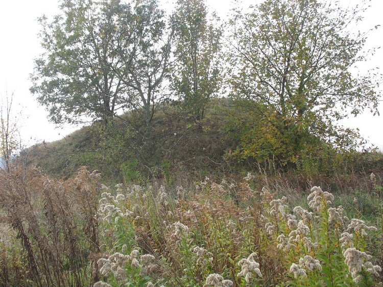 Kurhan Królewice