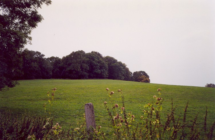 Młyńska Kępa Settlement