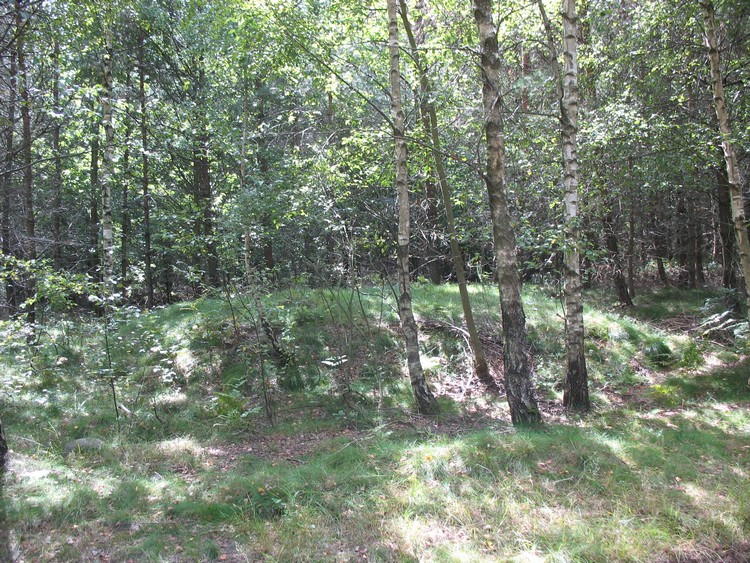 One of the Bronze Age round barrows in Mściszewice (photo taken on August 2009).
