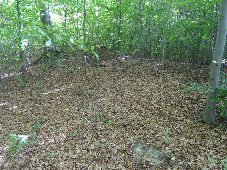 Grobowce Megalityczne Muszkowice
