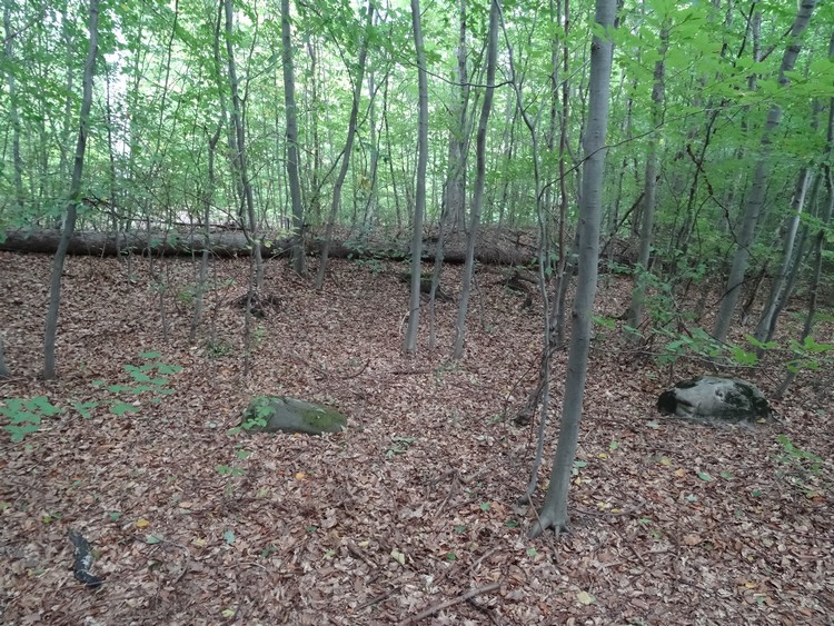 Grobowce Megalityczne Muszkowice