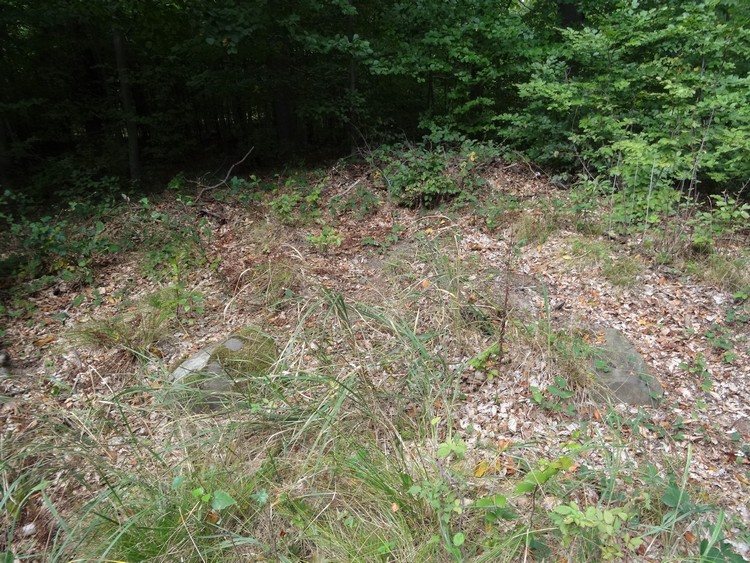Grobowce Megalityczne Muszkowice