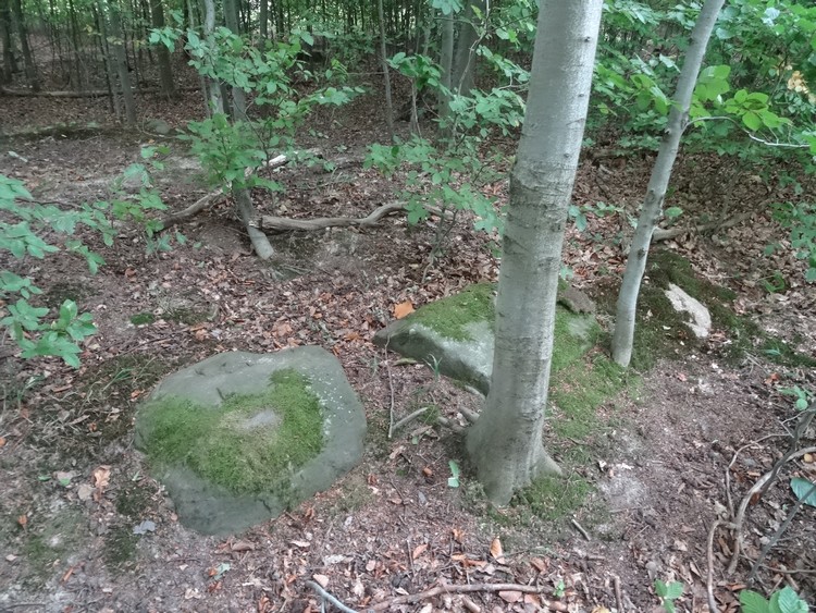 Grobowce Megalityczne Muszkowice