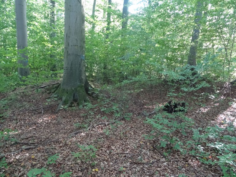 Barrows 4 and 5 seen from the NW (photo taken on October 2018).