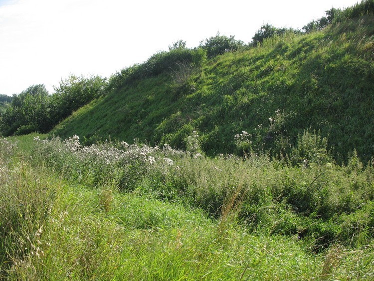 Earthworks and ditch of grodzisko near Kalwa - view from the NE (photo taken on August 2008).