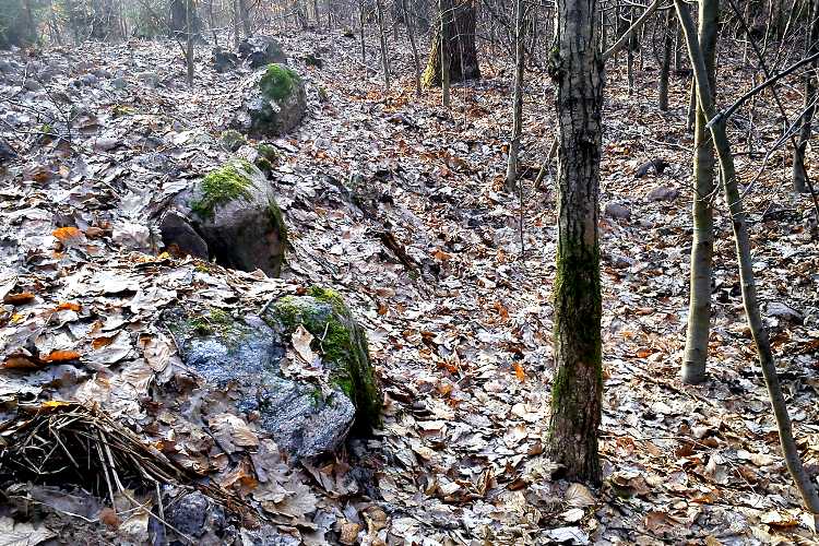 Dolice Chambered Tomb