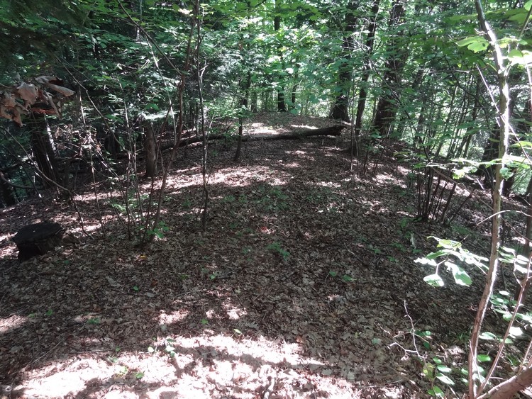 Narrow ridge inside the promontory fort (photo taken on August 2014).
