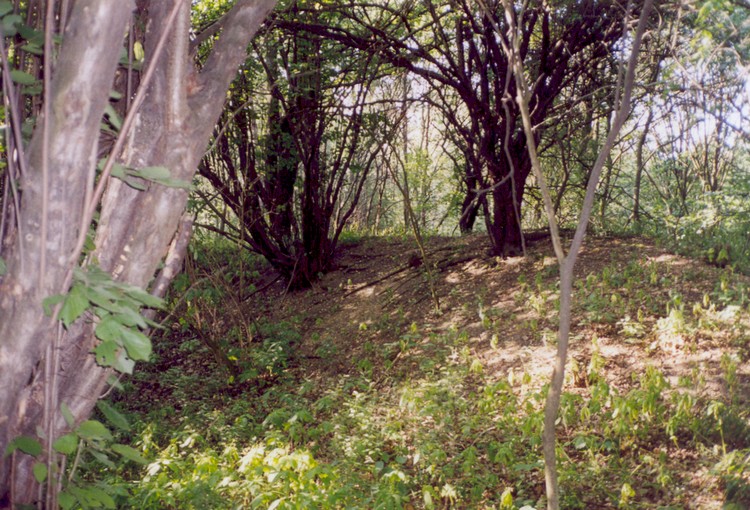 Click for the gallery page to add comments and vote (PID:39816) Grodzisko Oborniki Śląskie